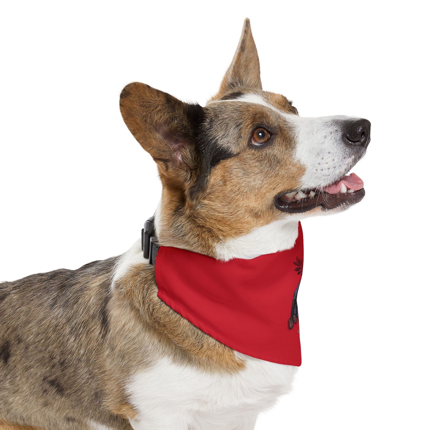 MOTHMAN Pet Bandana Collar