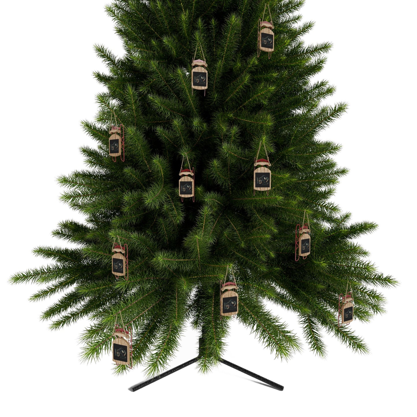 1692 WITCH Sled Ornaments