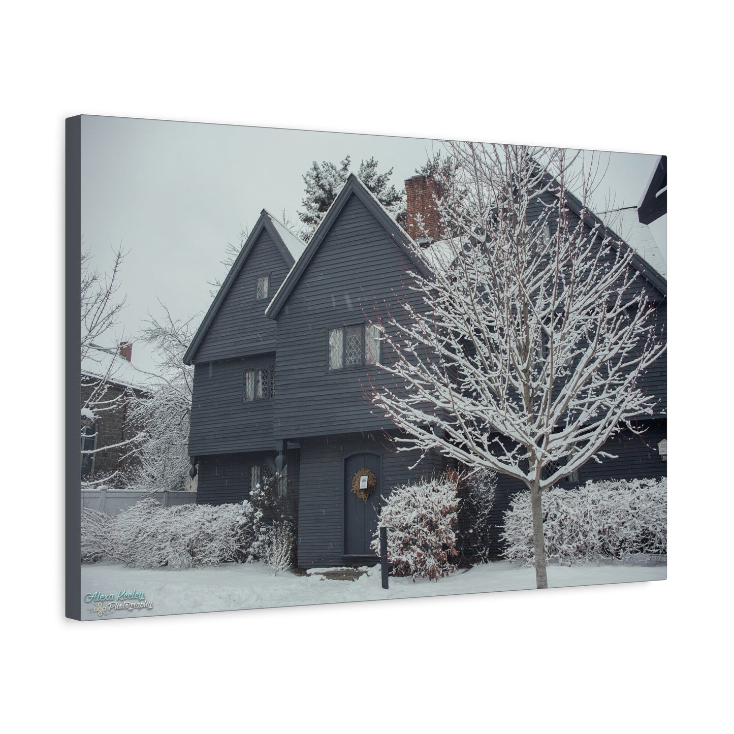 Winter Witch House - Matte Canvas, Stretched, 1.25"