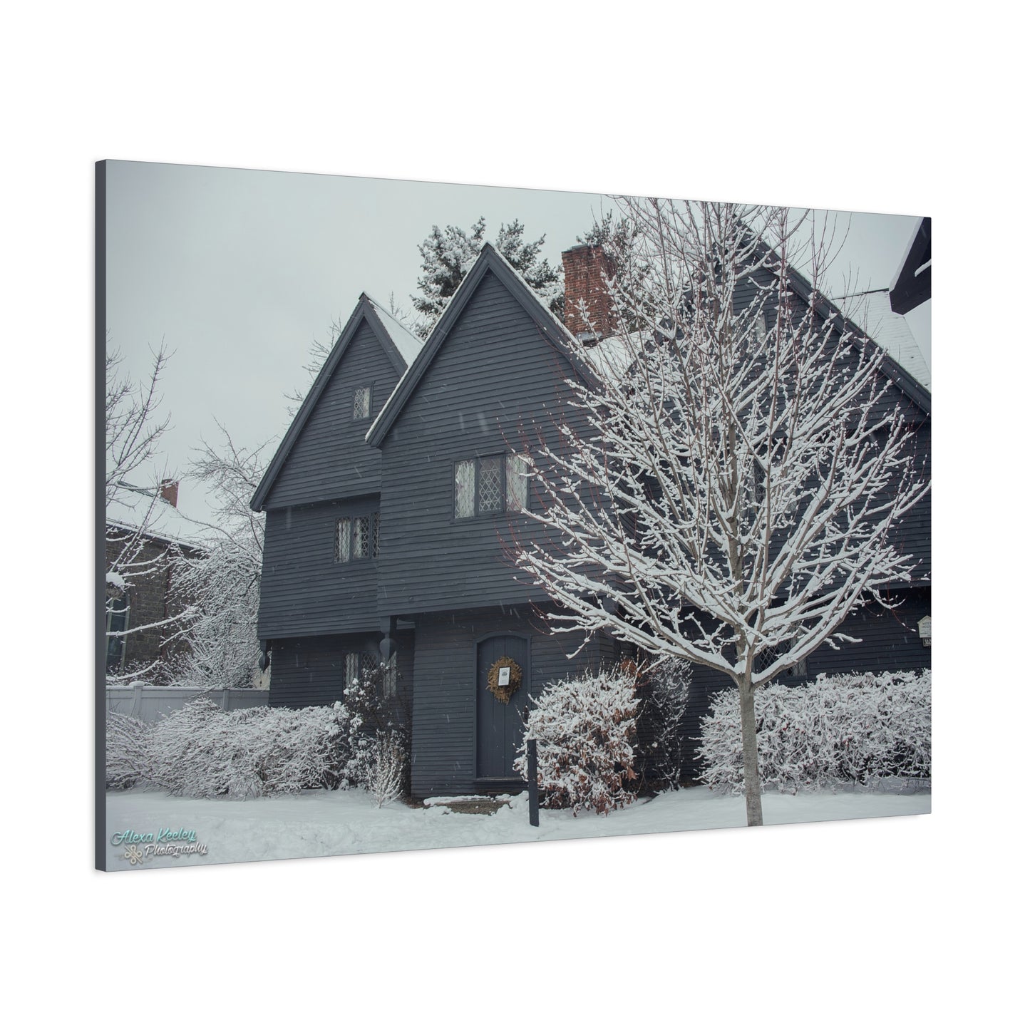 Winter Witch House - Matte Canvas, Stretched, 1.25"