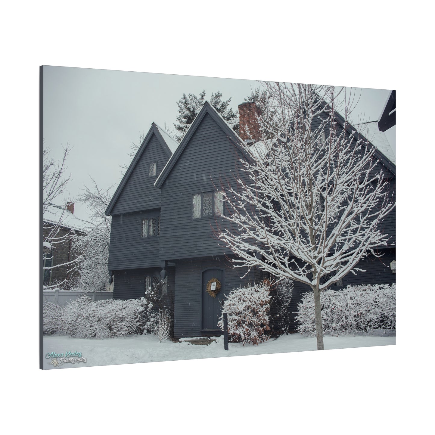 Winter Witch House - Matte Canvas, Stretched, 1.25"