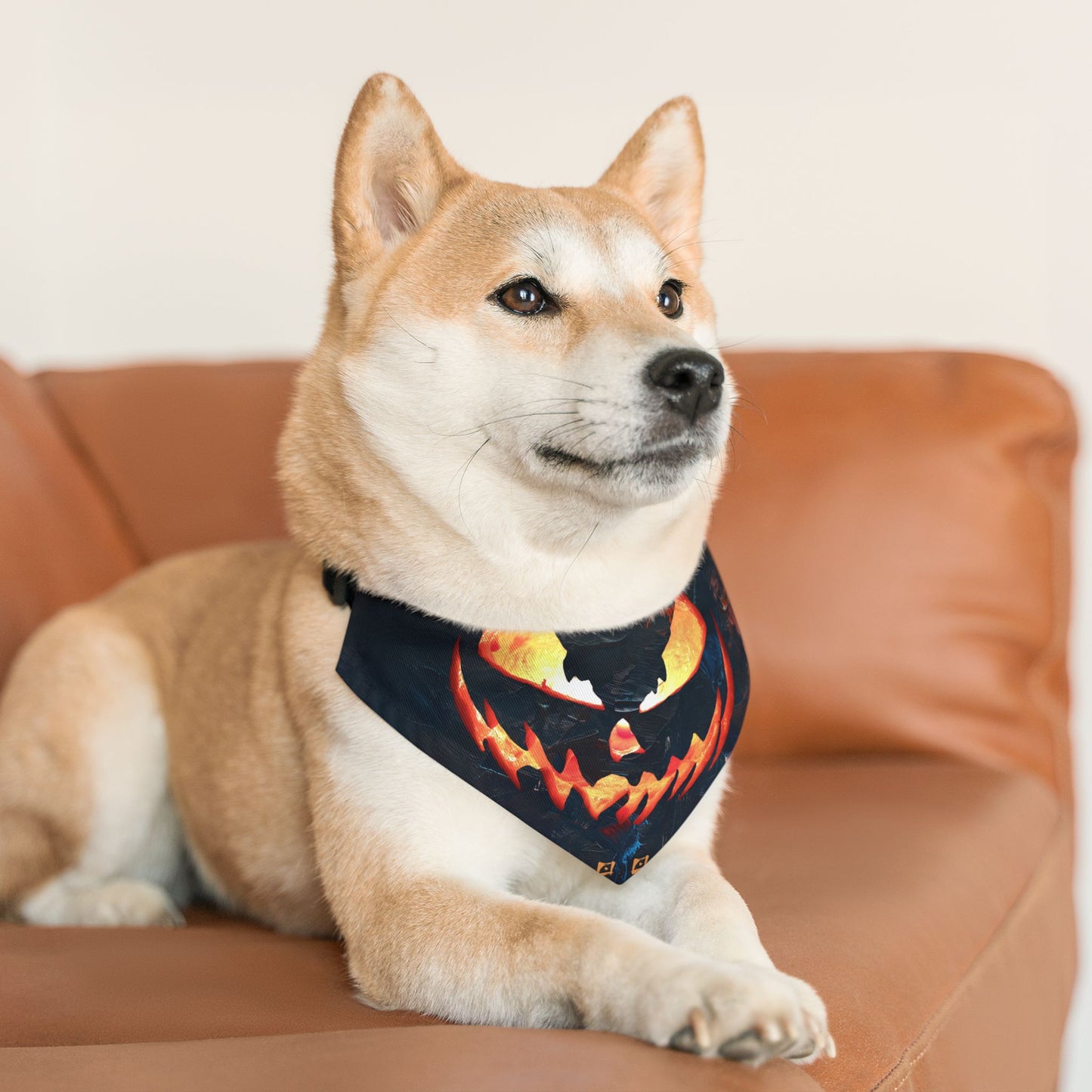 MIDNIGHT HALLOWEEN Pet Bandana Collar