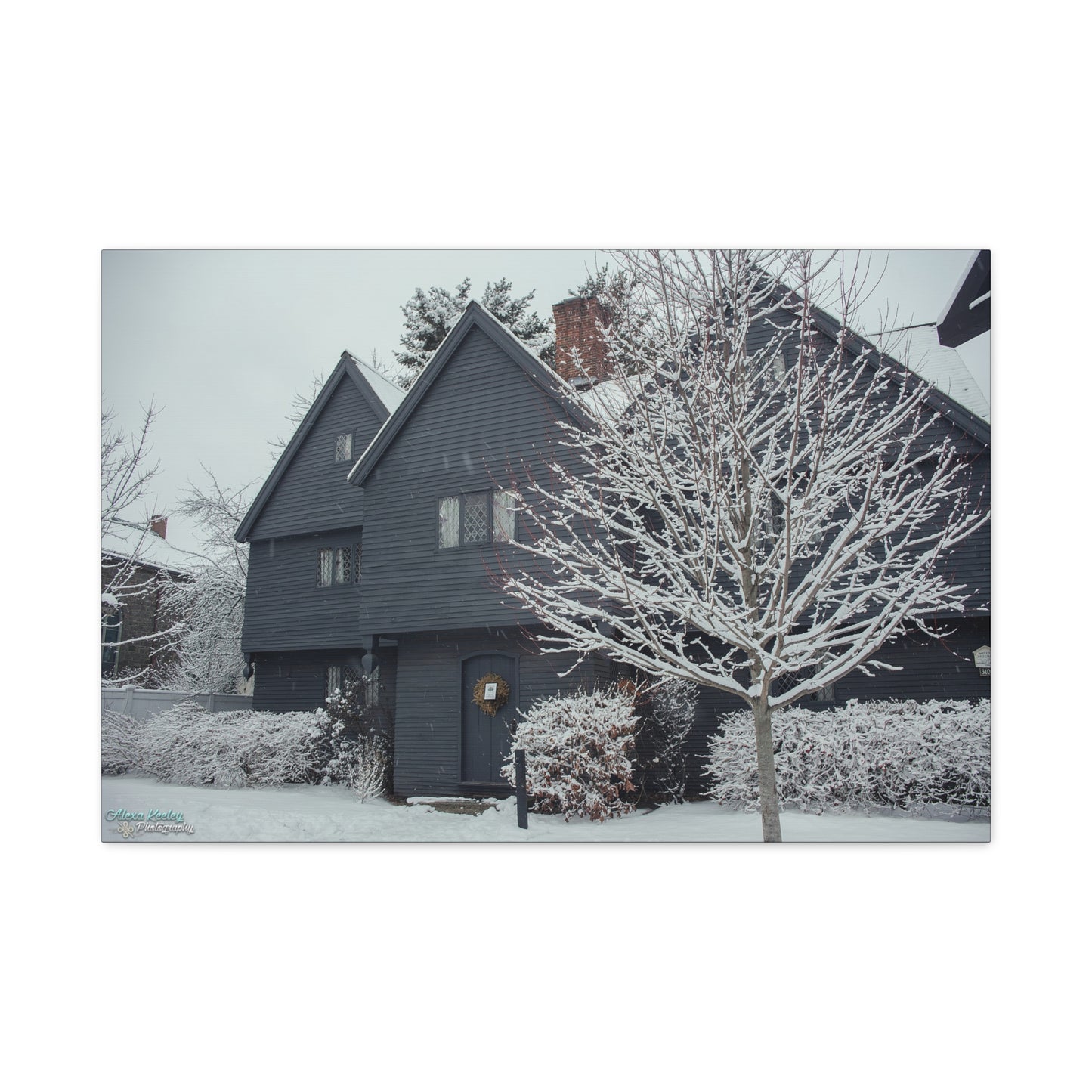 Winter Witch House - Matte Canvas, Stretched, 1.25"