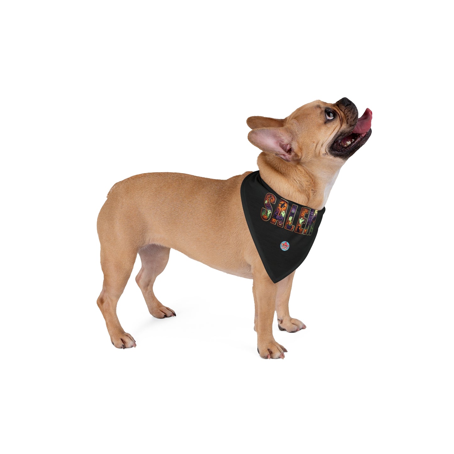SALEM SPOOKY Pet Bandana