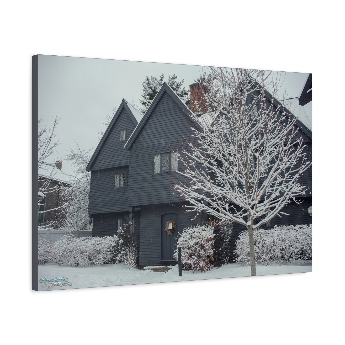 Winter Witch House - Matte Canvas, Stretched, 1.25"