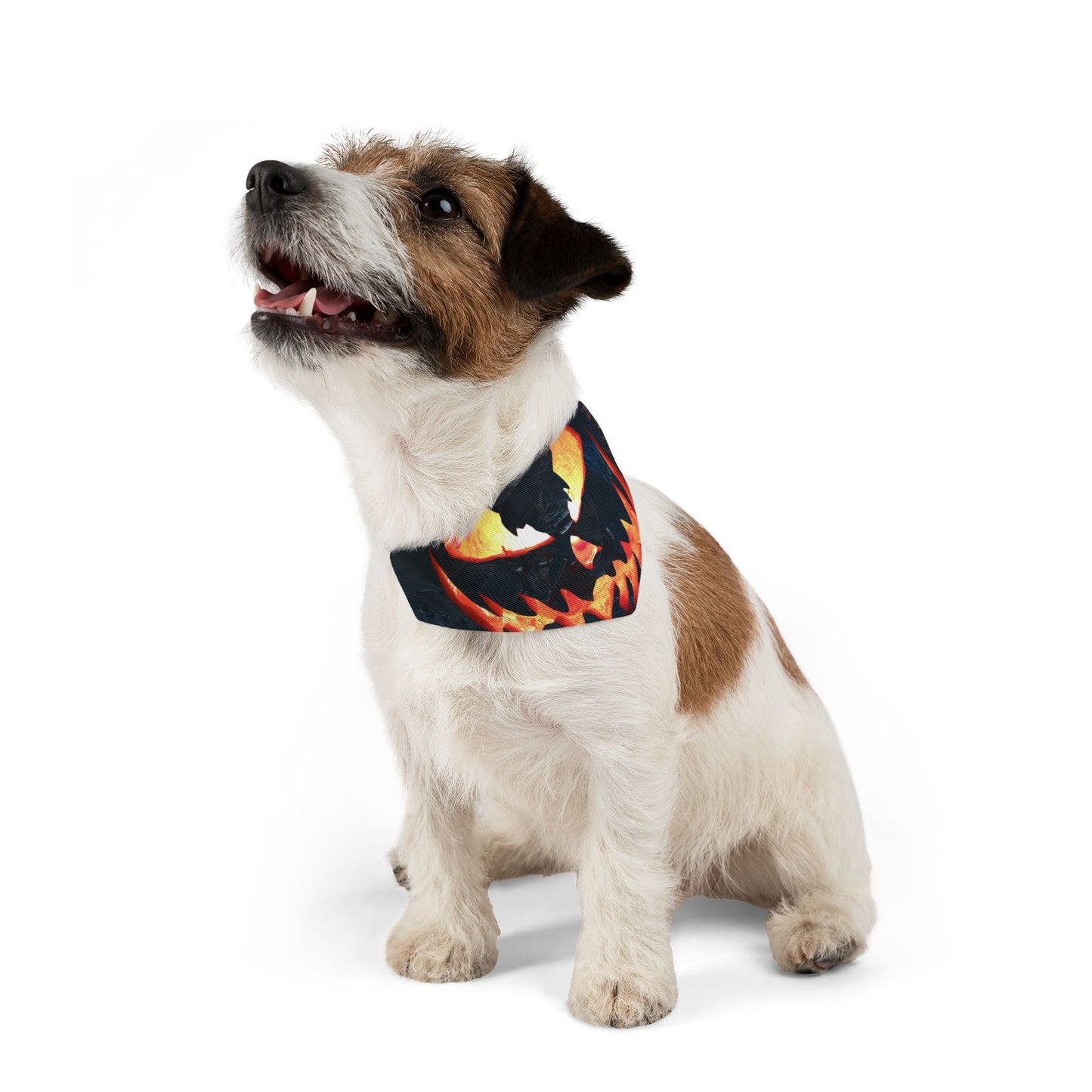 MIDNIGHT HALLOWEEN Pet Bandana Collar
