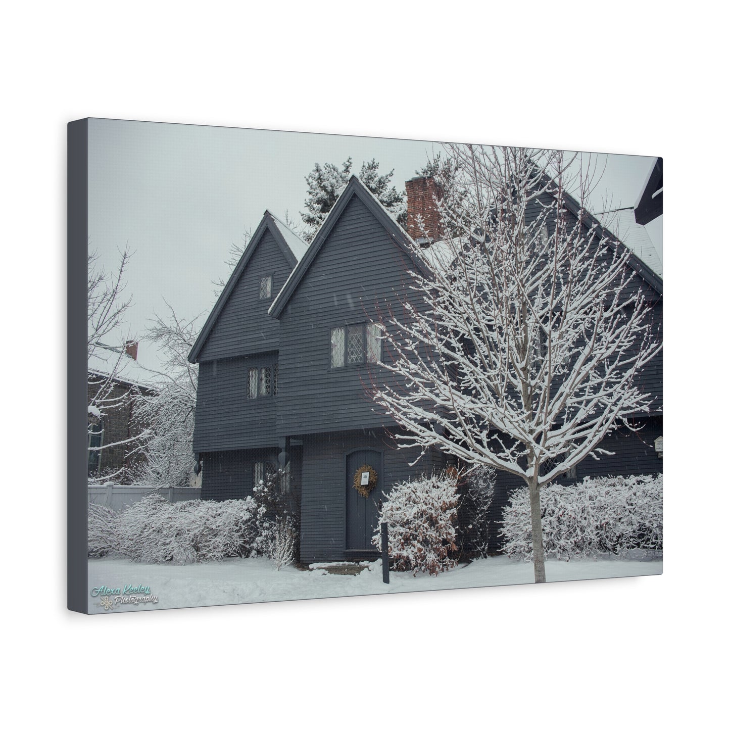 Winter Witch House - Matte Canvas, Stretched, 1.25"