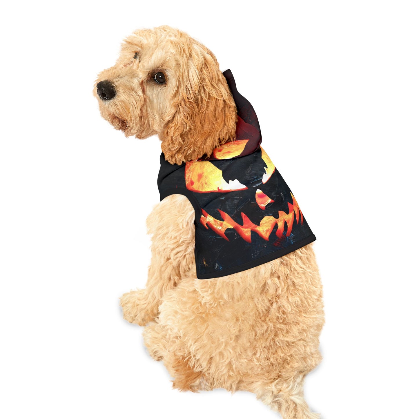 HALLOWEEN Pet Hoodie