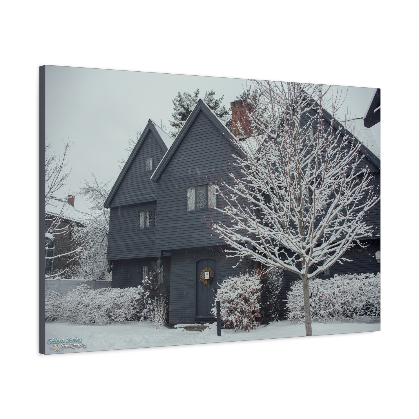 Winter Witch House - Matte Canvas, Stretched, 1.25"