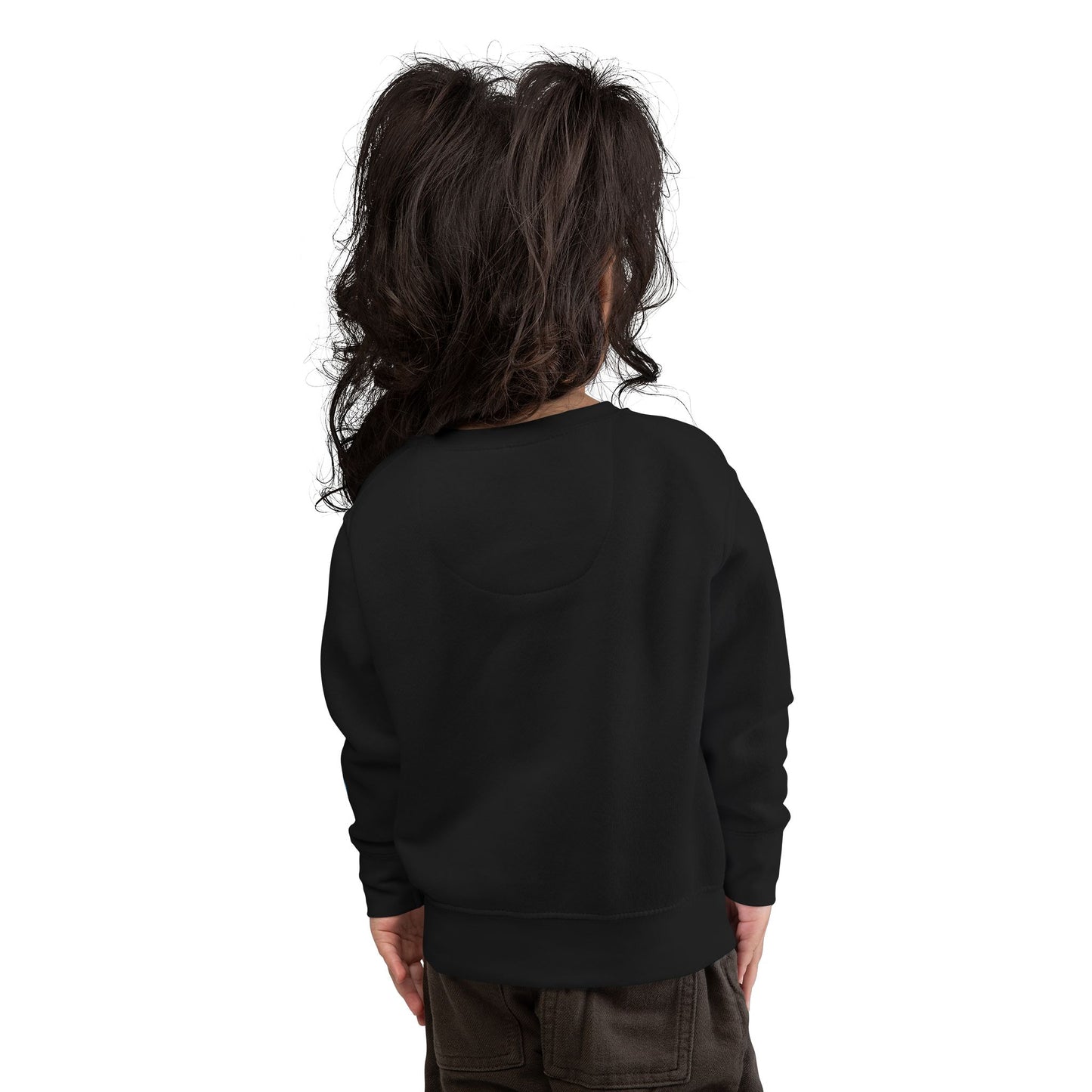 SALEM 400 Toddler Sweatshirt (More Colors)